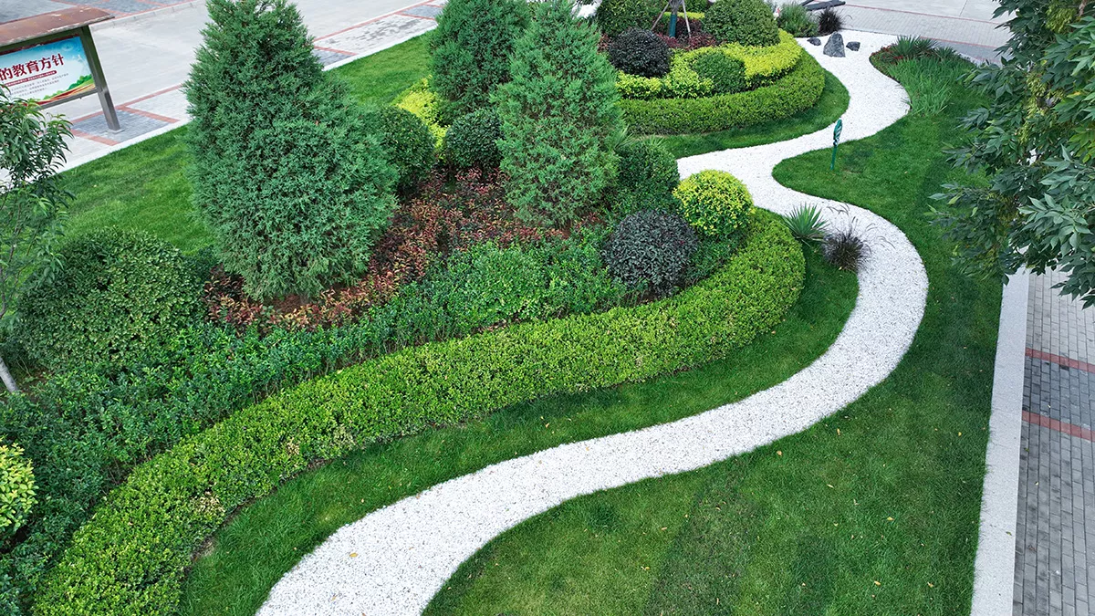DJI_0094.JPG